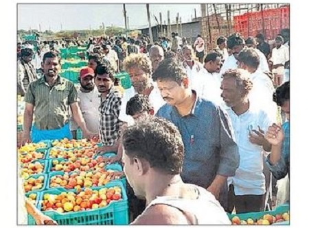 టమాటా రైతుకు బాసట