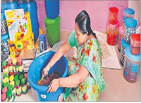 వ్యాపారవేత్తలుగా డ్వాక్రా మహిళలు