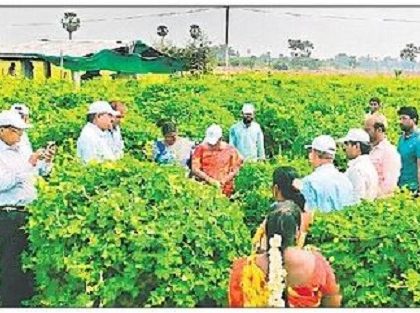 ప్రకృతి వ్యవసాయం భేష్