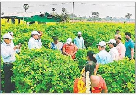 ప్రకృతి వ్యవసాయం భేష్