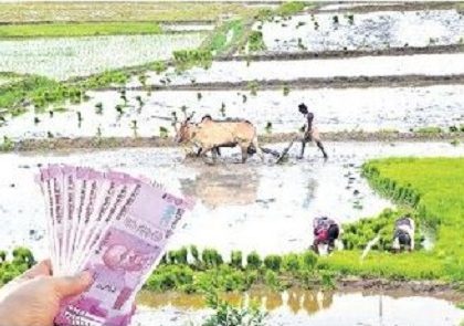 పక్కాగా పరిహారం