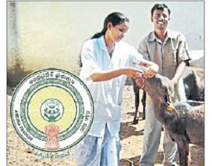 పశు సంవర్ధక శాఖలో పోస్టుల భర్తీకి నేడు నోటిఫికేషన్