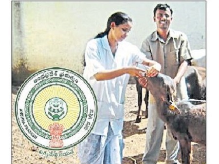 పశు సంవర్ధక శాఖలో పోస్టుల భర్తీకి నేడు నోటిఫికేషన్