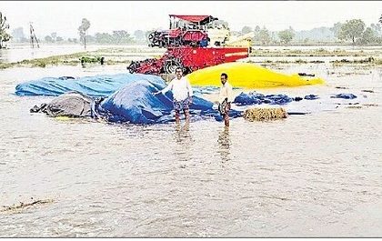 ధైన్యంలో ధైర్యం
