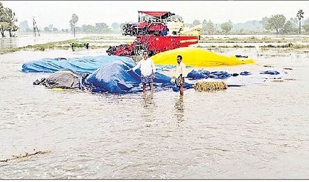 ధైన్యంలో ధైర్యం