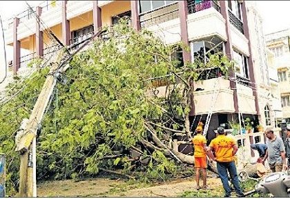 ముమ్మరంగా సహాయక చర్యలు