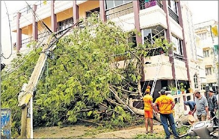 ముమ్మరంగా సహాయక చర్యలు