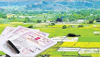 చట్టమై వచ్చిన స్వప్నం