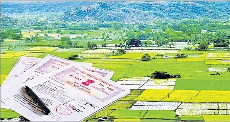చట్టమై వచ్చిన స్వప్నం