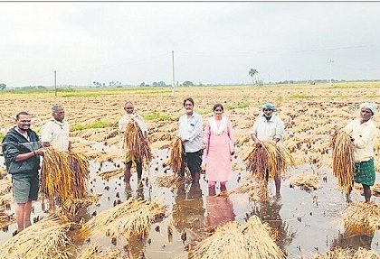 రైతులు ఇలా చేస్తే నష్ట నివారణ