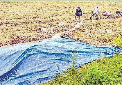 తుపానుతో రైతుల ఆందోళన