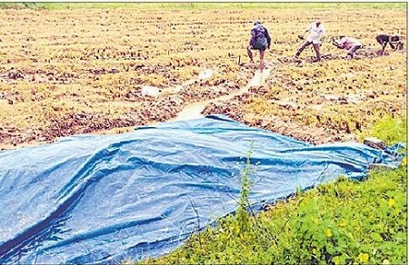 తుపానుతో రైతుల ఆందోళన