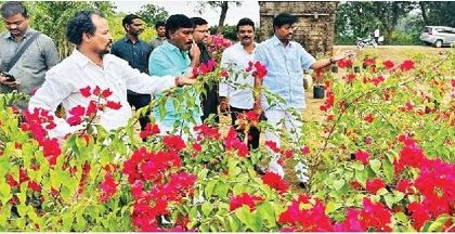 జగ్గయ్యపేటను సుందరంగా తీర్చిదిద్దుదాం