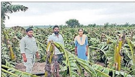 పంట నష్టం అంచనాకు ప్రత్యేక బృందాలు